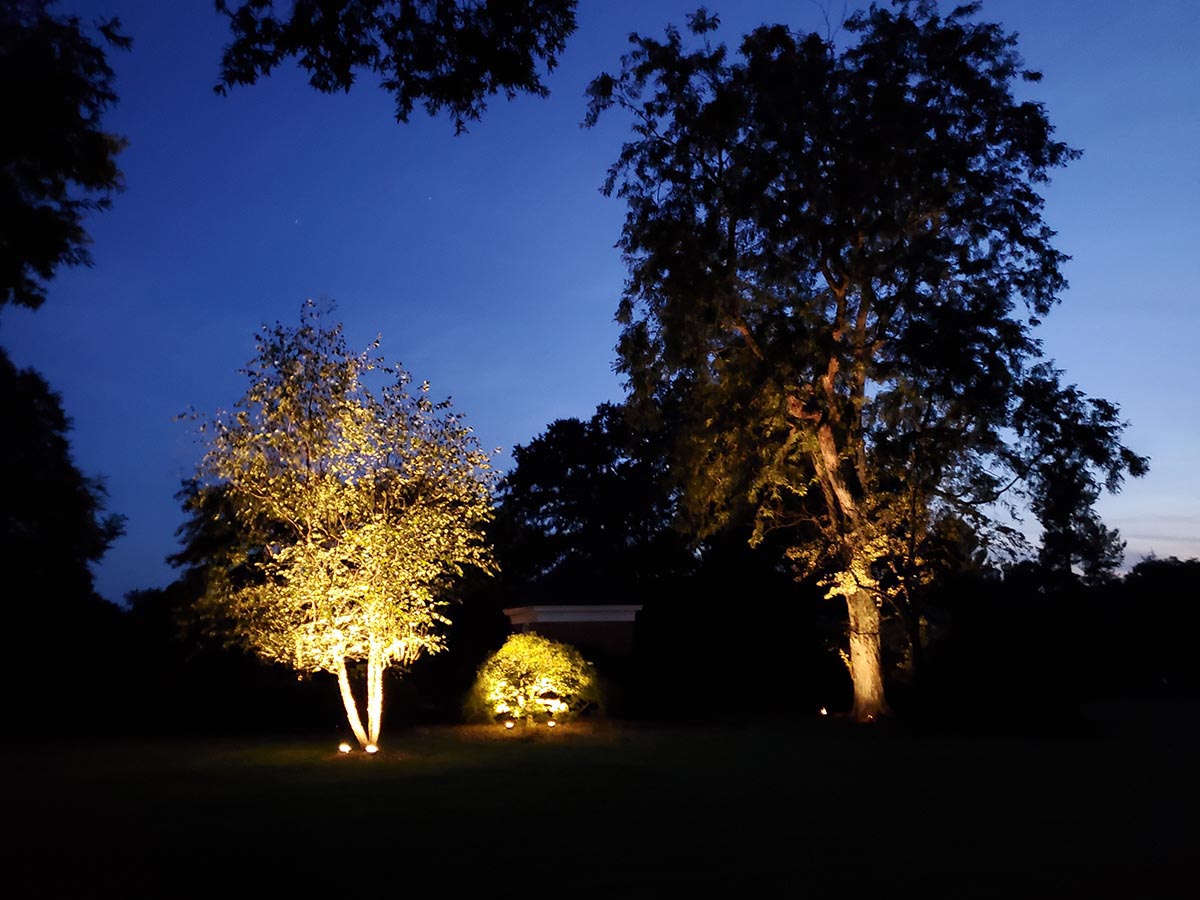 tree lighting 