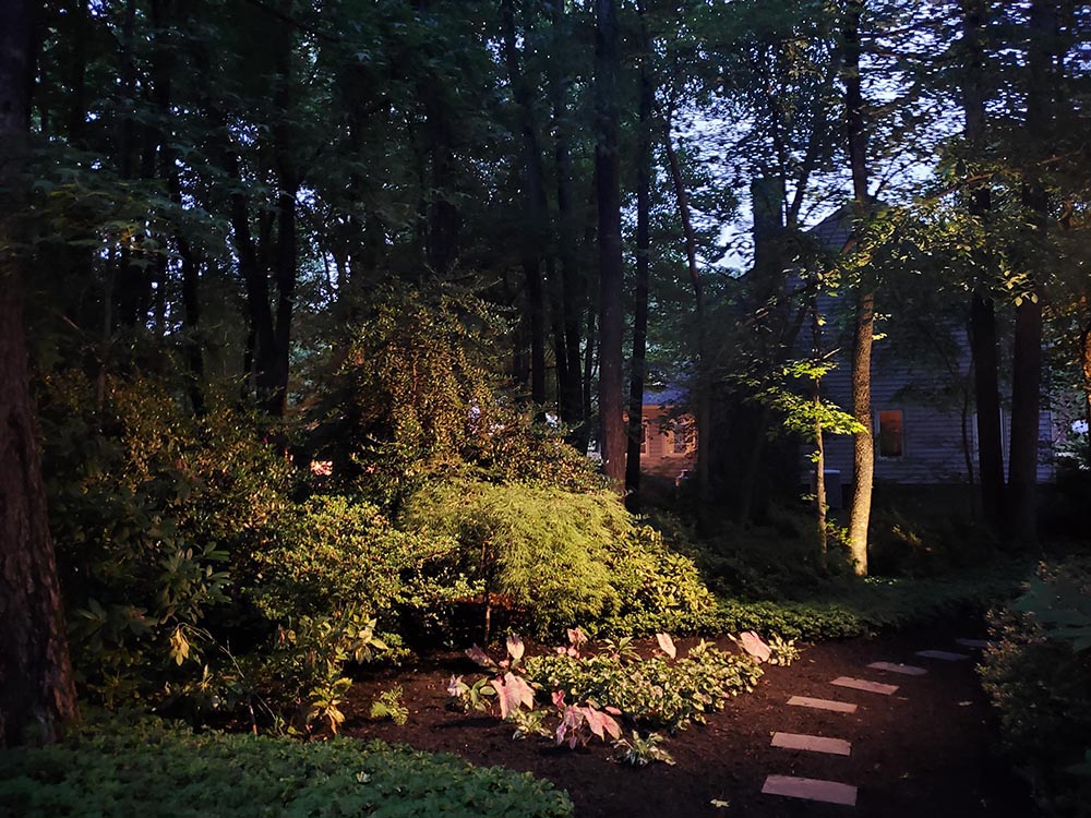 outdoor LED lights