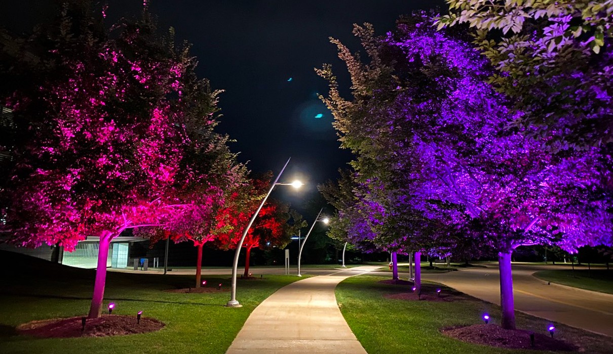 Color Changing LED Lights