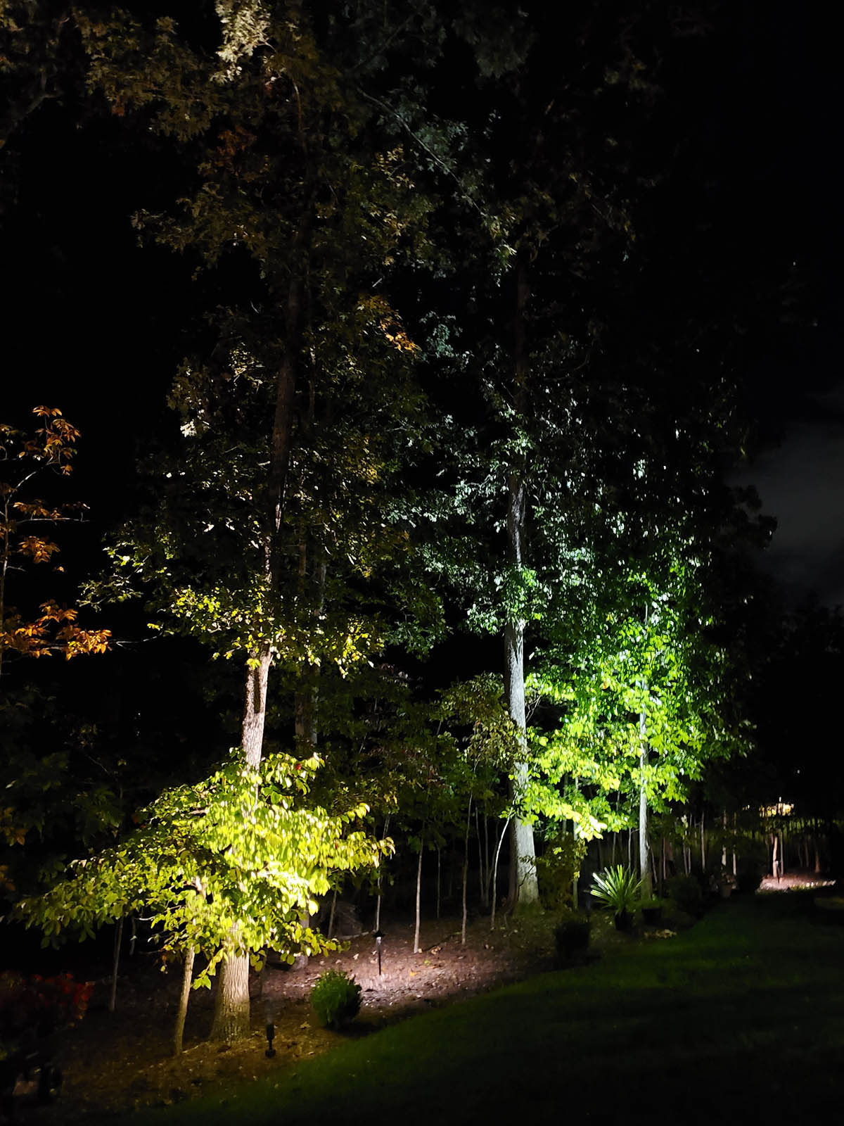 landscape lighting