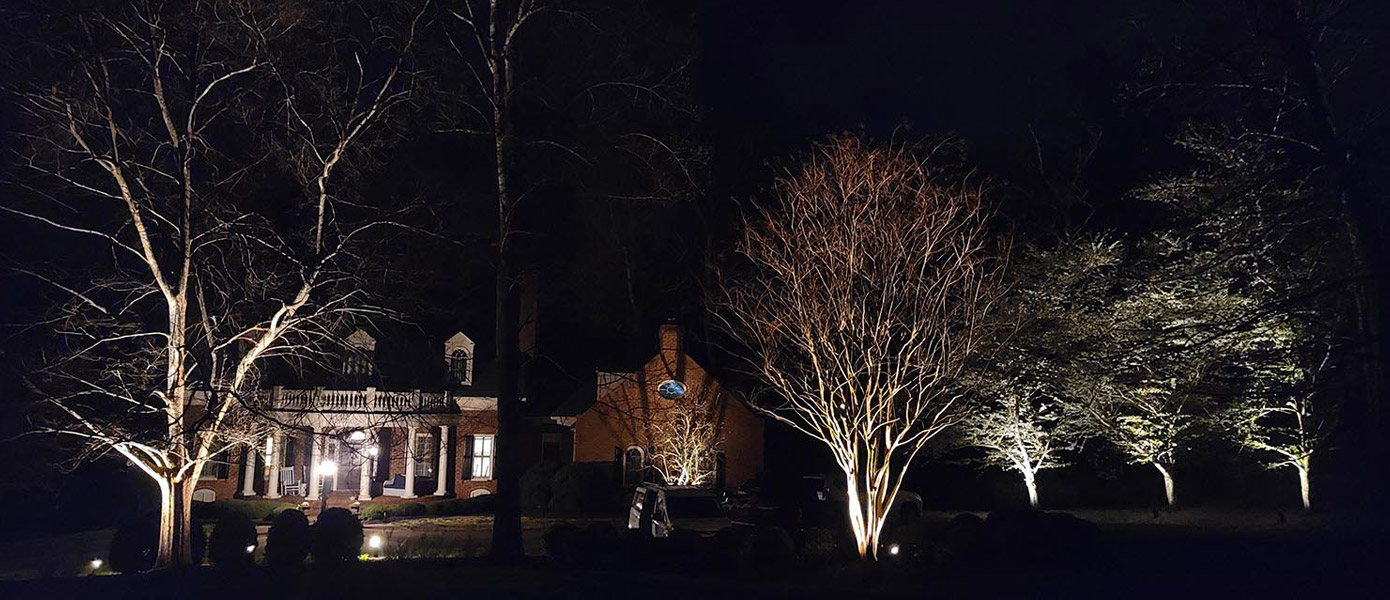 uplighting for trees Midlothian VA