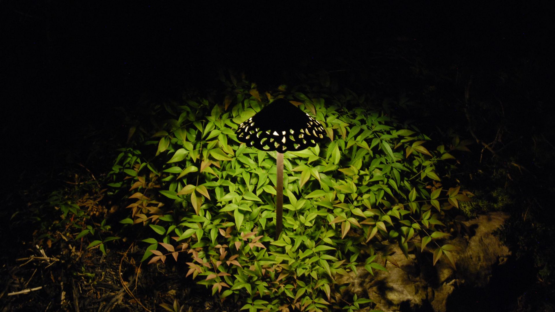 close up on outdoor light