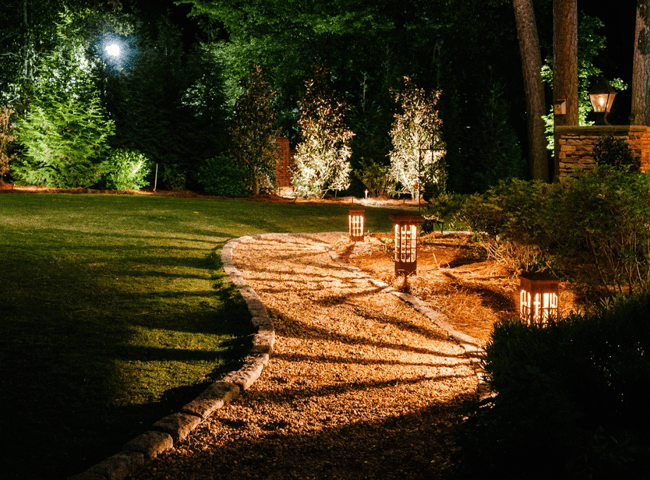 professional landscape lighting