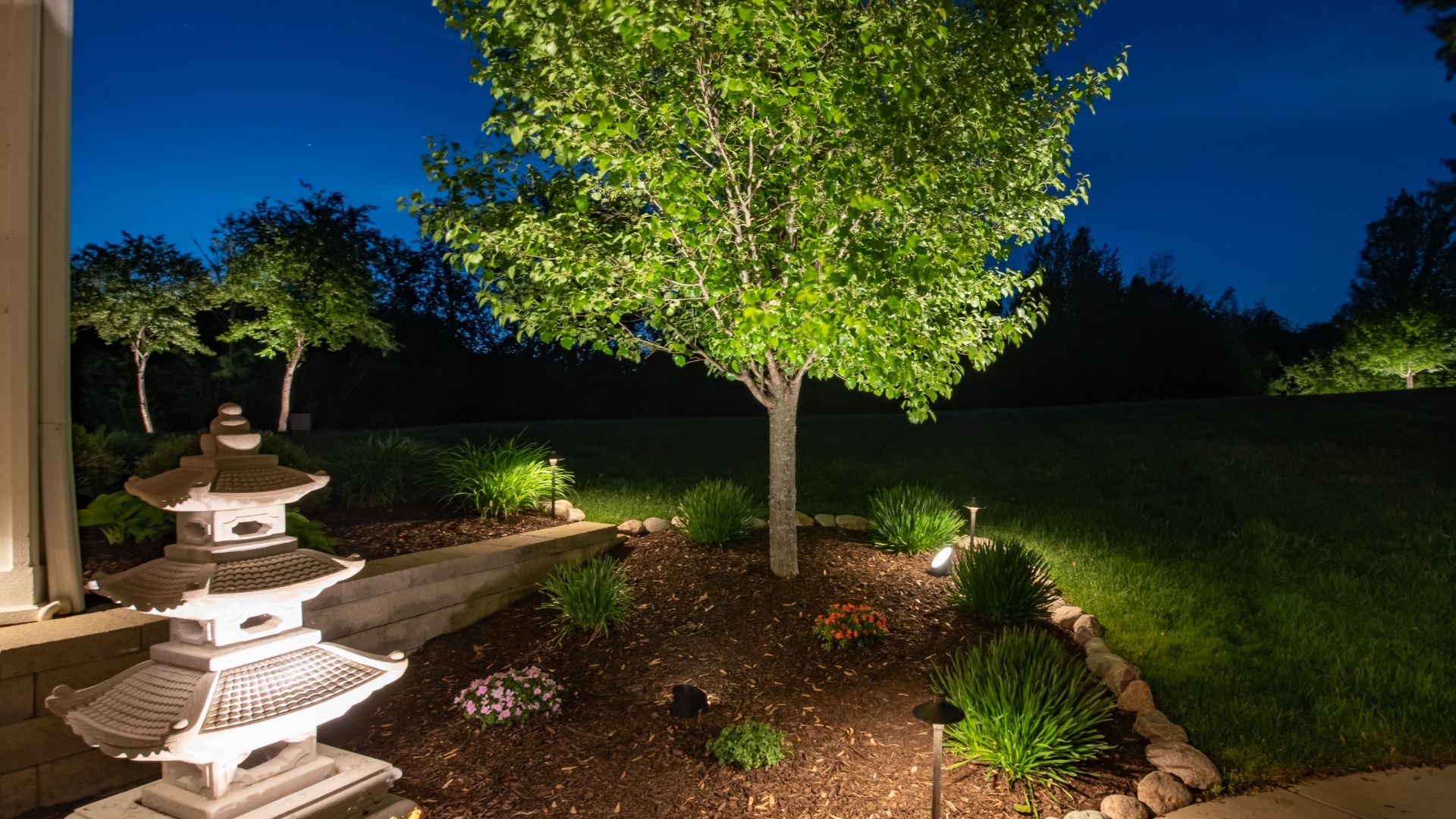 uplighting a tree