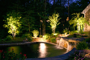 Backyard pond lit up with lights
