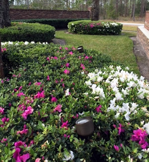 charlotte garden entrance lighting
