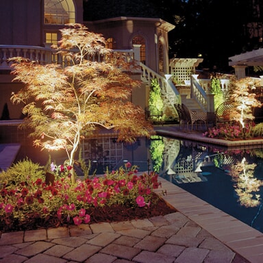pool and landscape lighting on trees around pool 