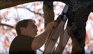 Man installing lighting