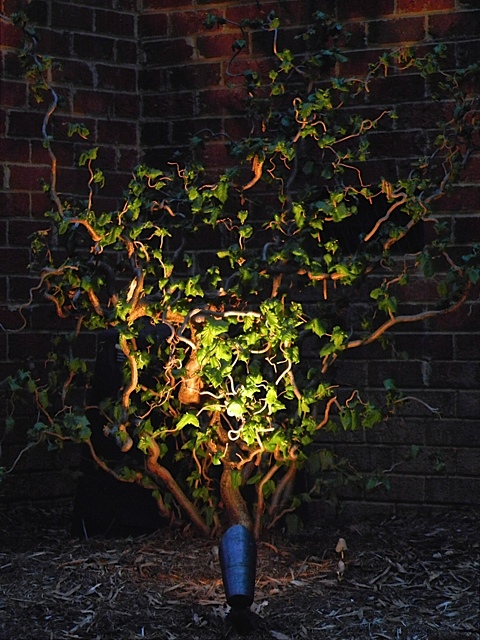 outdoor lighting on tree at night 