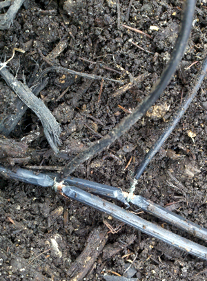 underground lighting wiring charlotte