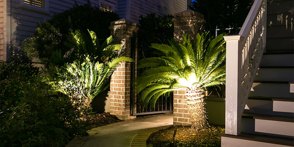 Pathway with a gate that has palm trees and is highlighted with landscape lighting