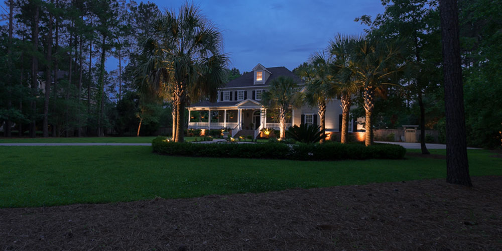 Palm trees and yard with landscape lighting