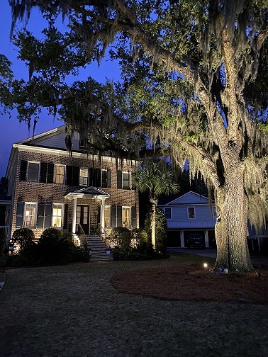 house with a tree in the front yard