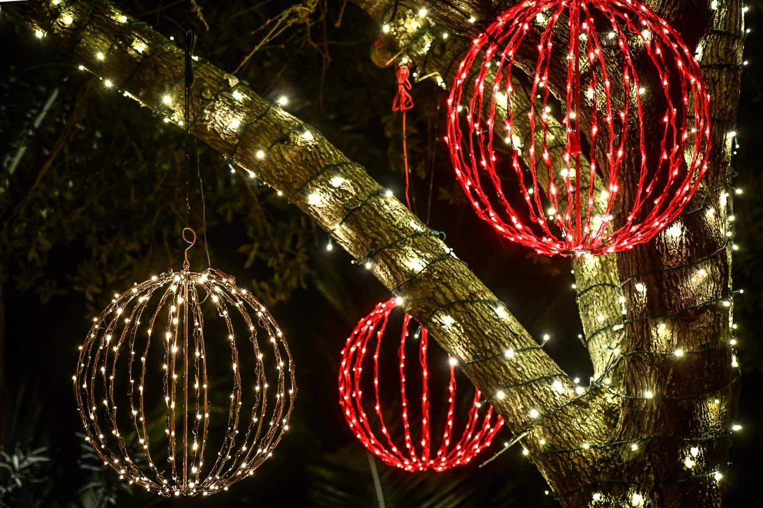 light up balls hanging from tree