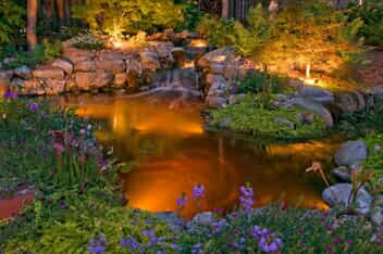 Backyard pool and garden with beautiful outdoor lighting