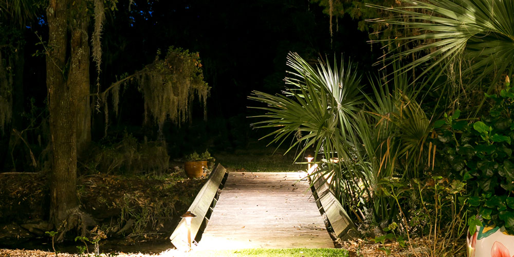 Walkway and palm trees with landscape lighting