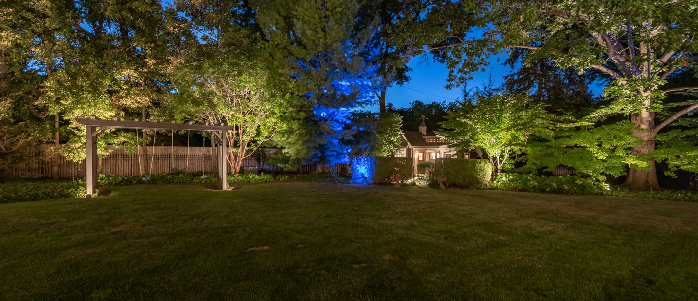 A yard with trees and a house at nightDescription automatically generated