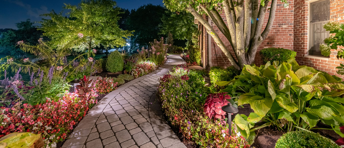 A brick walkway with plants and trees at nightDescription automatically generated