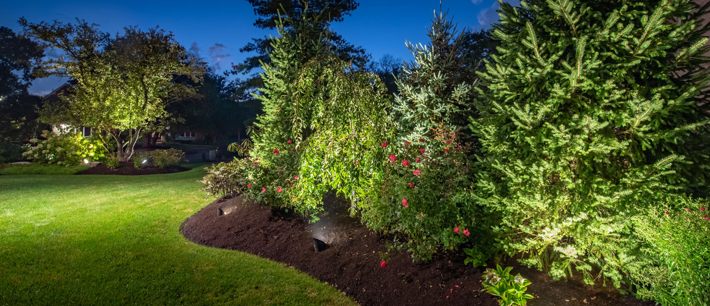 A garden with trees and bushesDescription automatically generated