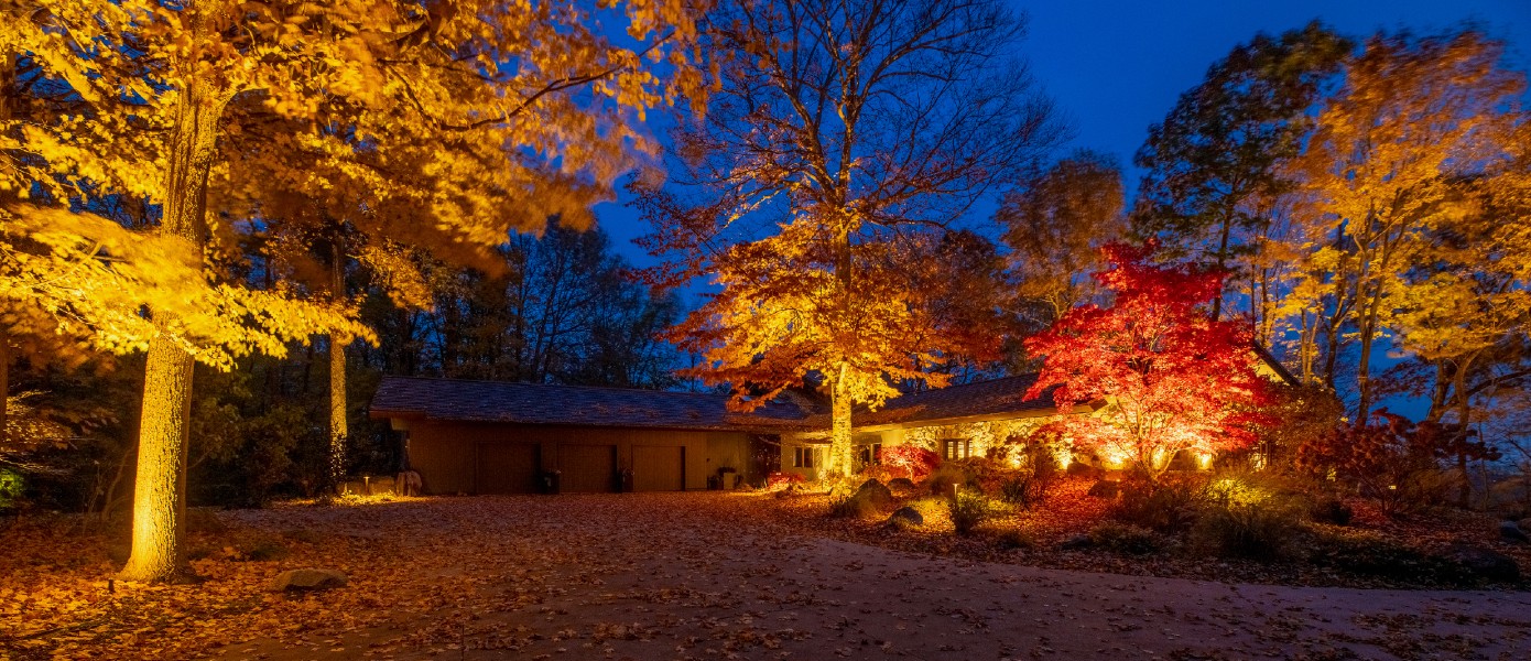 tree uplighting installation in Andover, MA