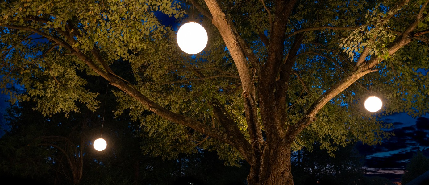 outdoor lights hanging from a tree