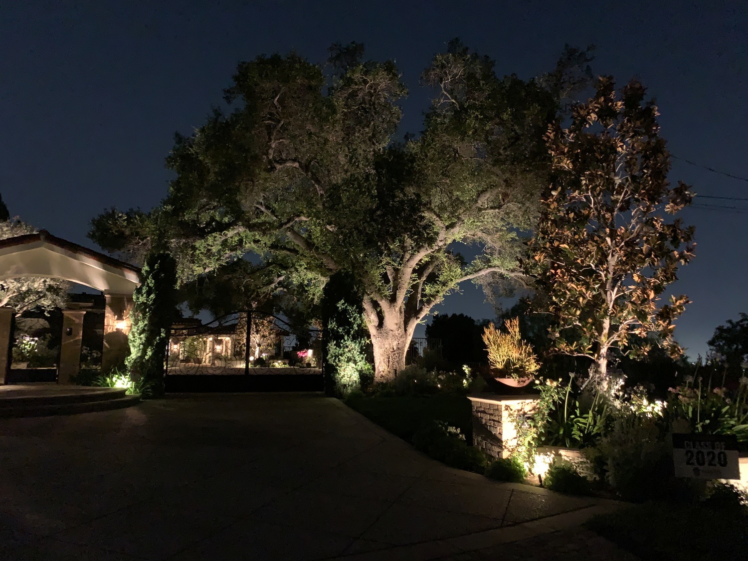 landscape lighting by oak tree in newburyport