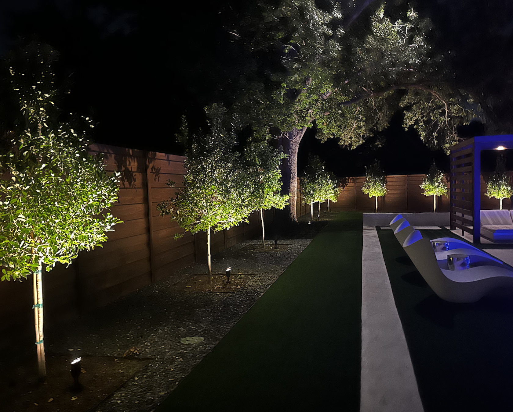 outdoor lighting illuminating trees in a backyard
