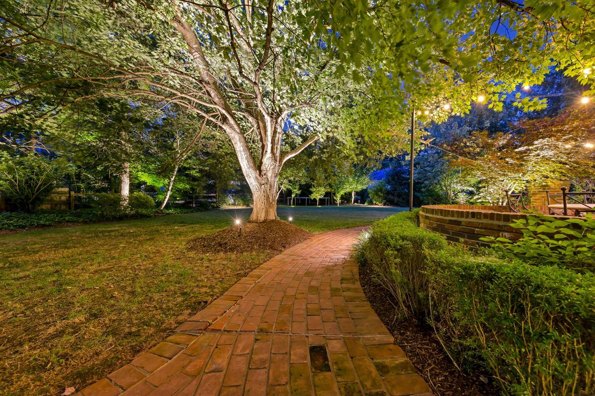 outdoor exterior lighting on large tree