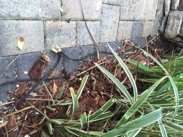 exposed wiring