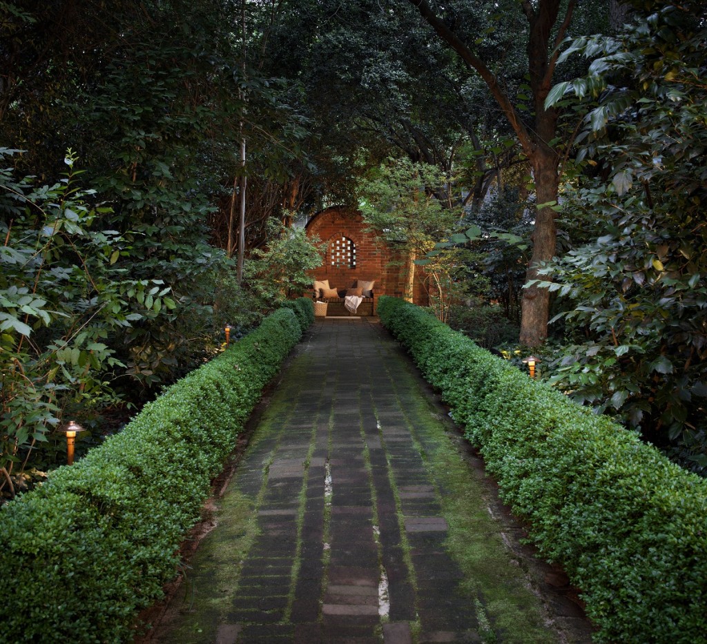Garden at night