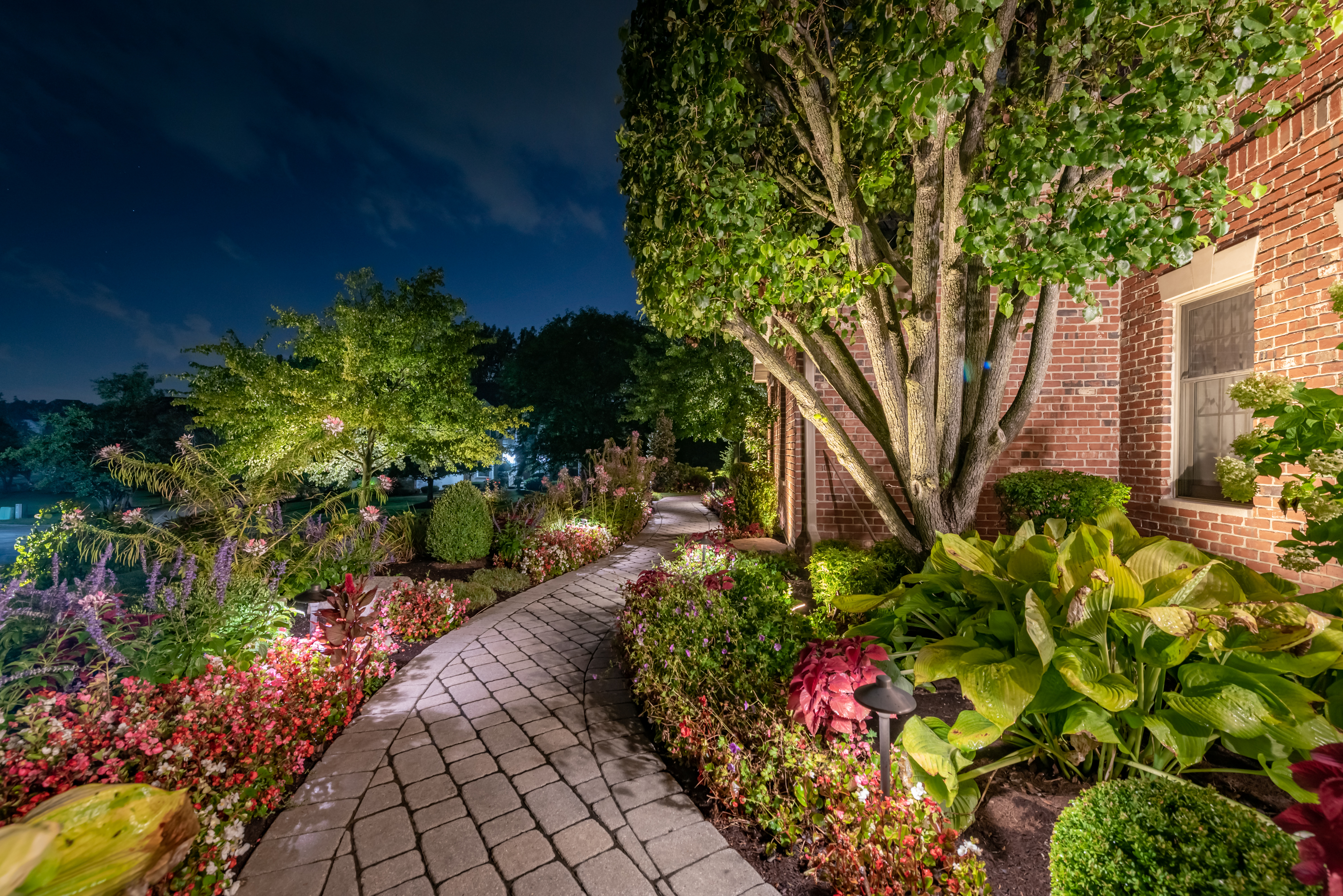 Pathway landscape lighting 
