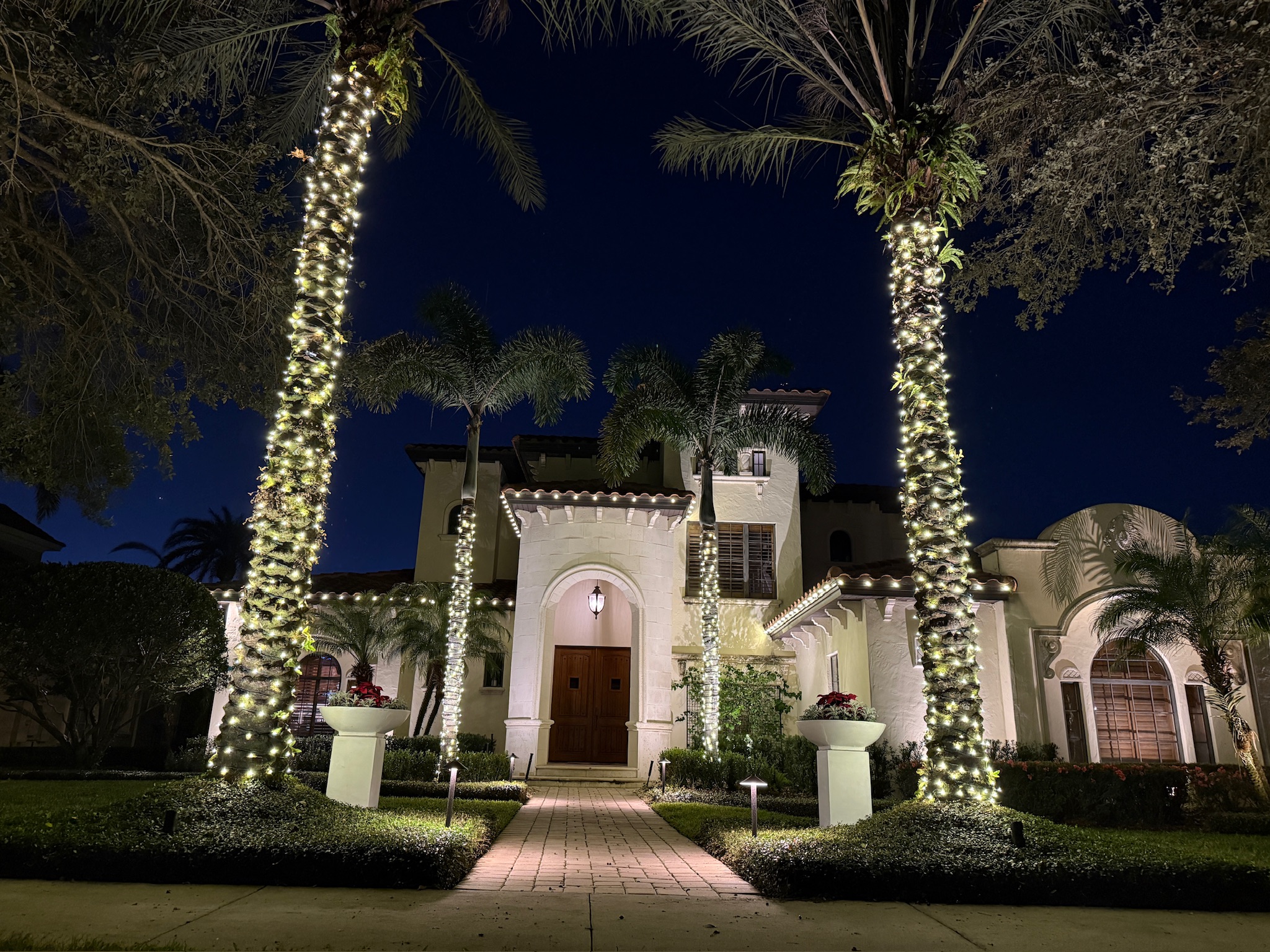 lit up trees and house