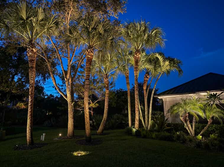 backyard lighting