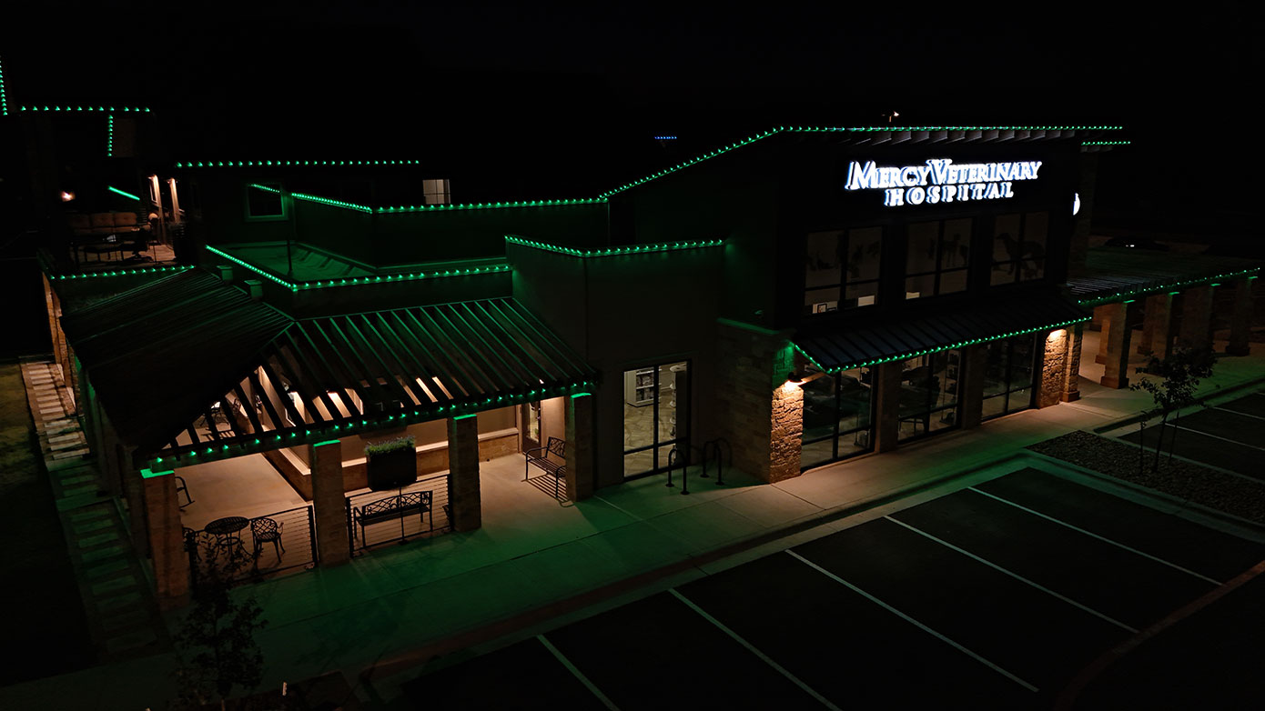 permanent roofline lighting for business in Highland IN