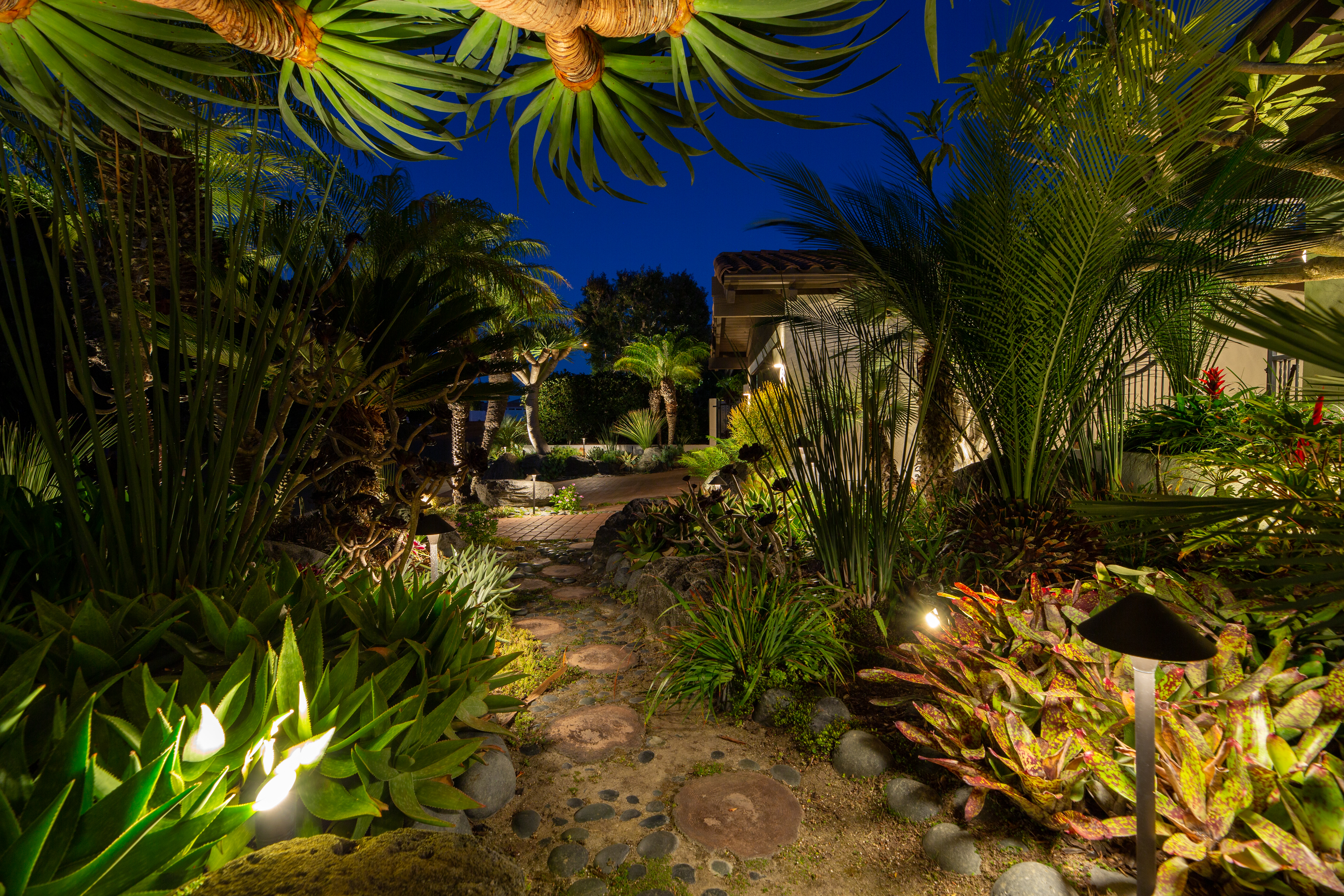 Garden filled with lighting