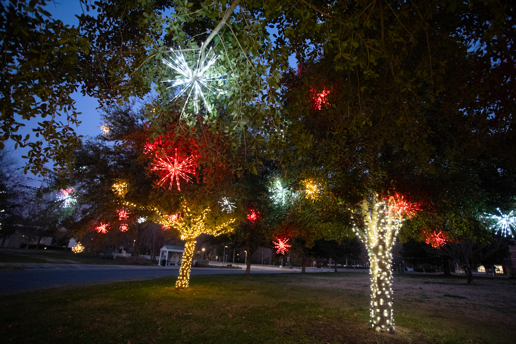 park lights